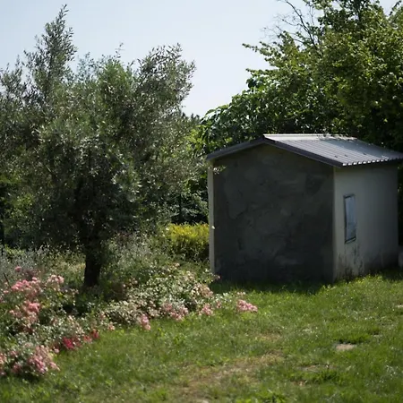 Silvana - Giulia & Michela With Terrace & Parking *