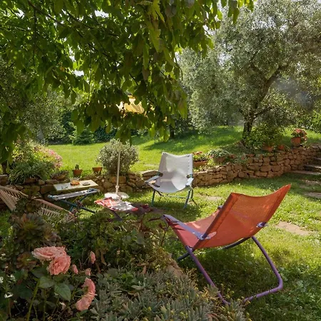 Guesthost - Silvana - Giulia & Michela With Terrace & Parking Apartment *